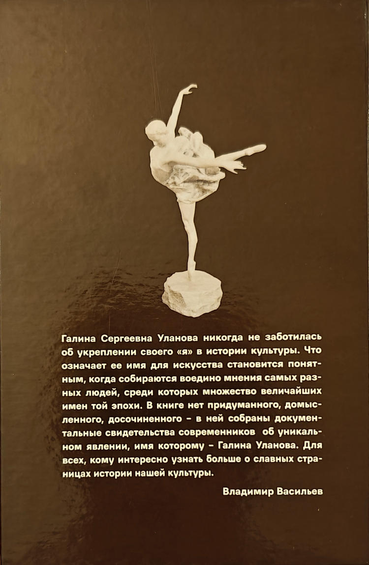 Владимир Васильев 2